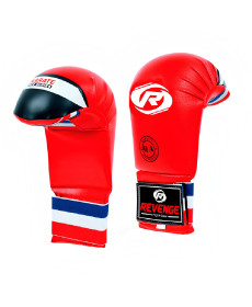 Рукавички для карате REVENGE EV-22-2201/PU розмір S, червоні