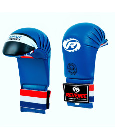 Рукавички для карате REVENGE EV-22-2201/PU розмір S, сині