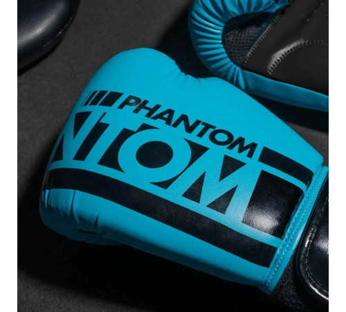 Рукавички боксерські з капою Phantom APEX Neon розмрі 10 унцій, чорно-сині