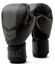 Боксерські рукавиці Everlast PROSPECT 2 BOXING GLOVE 6 унцій, чорно-сірі