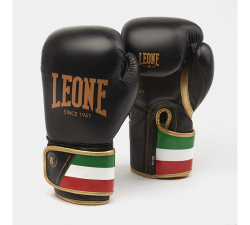Рукавички боксеріські Leone Italy 12 унцій, різнокольорові