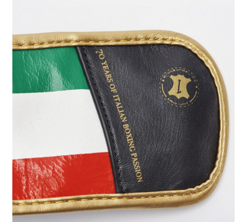 Рукавички боксеріські Leone Italy 12 унцій, різнокольорові