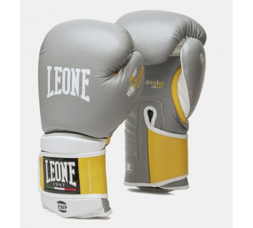 Рукавички боксерські Leone Tecnico 10 унцій, різнокольорові
