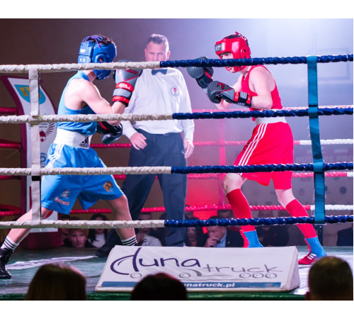 Рукавички боксерські шкіряні Yakimasport PRO SPIDER розмір 10 унцій, чорно-червоні