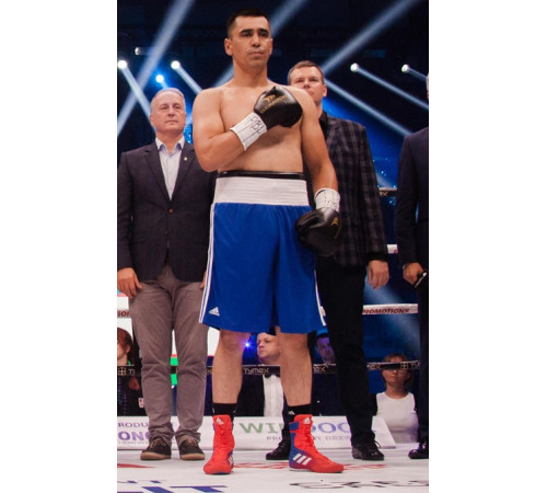 Рукавички боксерські Yakimasport TIGER BLACK V розмір 10 унцій, чорні