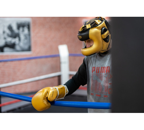 Рукавички боксерські Yakimasport TIGER GOLD L розмір 10 унцій, золотисті