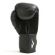 Боксерські рукавиці Everlast SPARK TRAINING GLOVES 10 унцій, чорно-білі