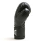 Боксерські рукавиці Everlast SPARK TRAINING GLOVES 10 унцій, чорно-білі