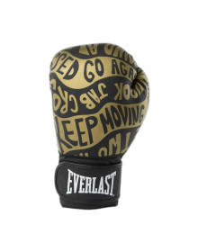 Боксерські рукавиці Everlast SPARK TRAINING GLOVE 12 унцій, чорно-золотисті