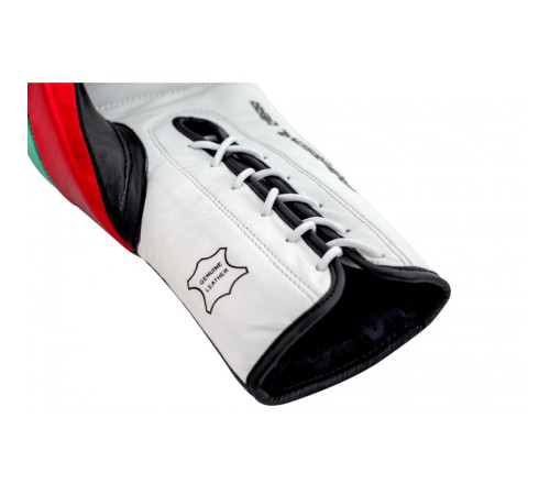 Рукавички боксерські V`Noks Mex Pro 10 унцій, різнокольорові