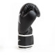 Боксерські рукавиці Everlast CORE 2 TRAINING GLOVE унцій L/XL, чорно-білі