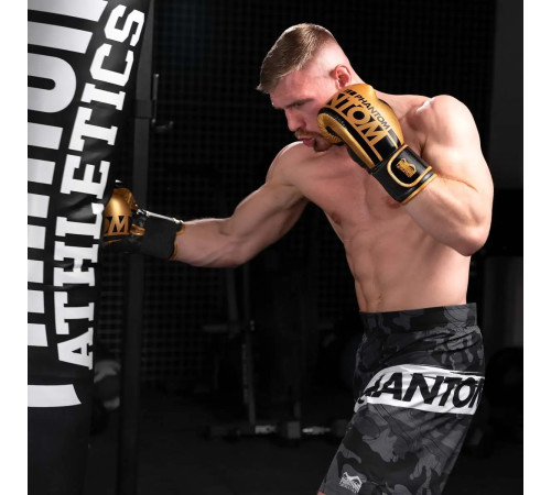 Рукавички боксерські з капою Phantom APEX Elastic 16 унцій, чорно-золотистий