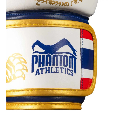 Рукавички боксерські з бинтами Phantom Muay Thai Limited Edition 14 унцій, золотисті