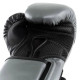 Боксерські рукавиці Everlast POWERLOCK 2R TRAINING GLOVE 10 унцій, сірі