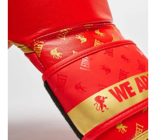 Рукавички боксерські з бинтами Leone GN220 DNA розмір 10 унцій, червоні