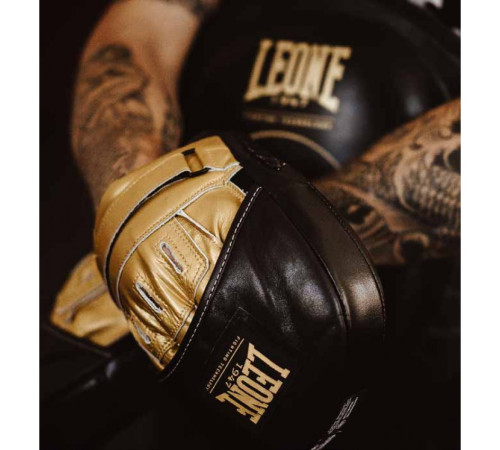 Лапи боксерські Leone Power Line, чорно-золотисті
