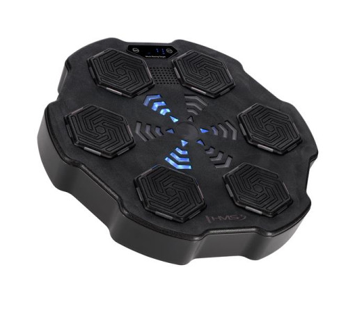 TB02 ІНТЕЛЕКТУАЛЬНА МУЗИЧНА БОКС-МАШИНА BLUETOOTH З РУКАВИЧКАМИ HMS TB02 ІНТЕЛЕКТУАЛЬНА МУЗИЧНА БОКС-МАШИНА BLUETOOTH З РУКАВИЧКАМИ HMS
