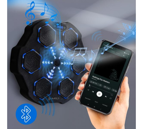 TB02 ІНТЕЛЕКТУАЛЬНА МУЗИЧНА БОКС-МАШИНА BLUETOOTH З РУКАВИЧКАМИ HMS TB02 ІНТЕЛЕКТУАЛЬНА МУЗИЧНА БОКС-МАШИНА BLUETOOTH З РУКАВИЧКАМИ HMS