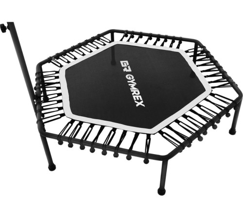 Батут для фітнесу Gymrex fitness GR-HT110B з поручнем 4 фути 124 см чорний Батут для фітнесу Gymrex fitness GR-HT110B з поручнем 4 фути 124 см чорний