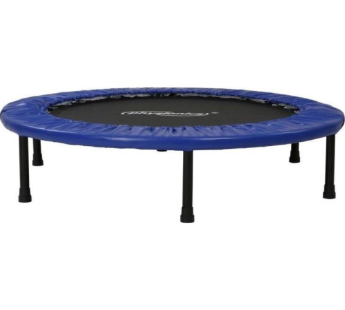 Батут Physionics JG796593.5 FT102 см Батут Physionics JG796593.5 FT102 см