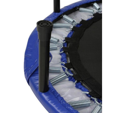 Батут Physionics JG796593.5 FT102 см Батут Physionics JG796593.5 FT102 см