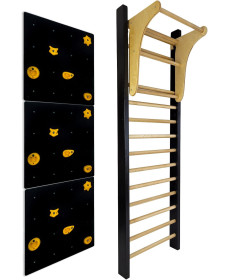 Шведська стінка UNDERFIT LEON 220 x 80 см з турніком та скеледромом, чорна