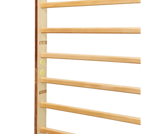Шведська стінка inSPORTline Shapemar 250 x 90 см