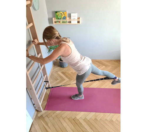 Шведська стінка BenchK 220 x 67 см
