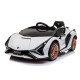 Lamborghini SIAN на акумуляторі для дітей Білий + Пульт + EVA + Free Start + Audio LED