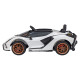 Lamborghini SIAN на акумуляторі для дітей Білий + Пульт + EVA + Free Start + Audio LED
