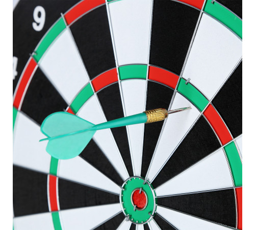 Дартс двосторонній NILS FUN TDN05 - 38 см