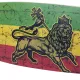 Скейтборд Longboard WORKER Lions 36»