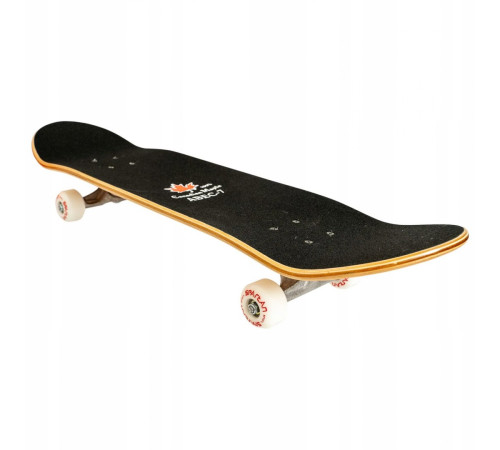 Скейтборд SPARTAN Top Board