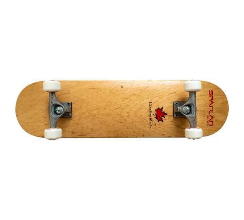 Скейтборд SPARTAN Top Board