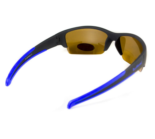 Окуляри поляризаційні BluWater Daytona-2 Polarized, коричневі