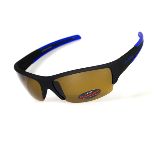 Окуляри поляризаційні BluWater Daytona-2 Polarized, коричневі