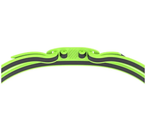 Окуляри для плавання Speedo VANQUISHER 3.0 MIRRORED, зелені