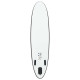 Надувна SUP дошка (Сапборд) vidaXL 92727 300