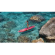 Надувна SUP дошка (Сапборд) Skatinger Prana Meteor 350