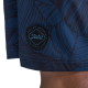 Чоловічі шорти Jobe Boardshorts - синій/S