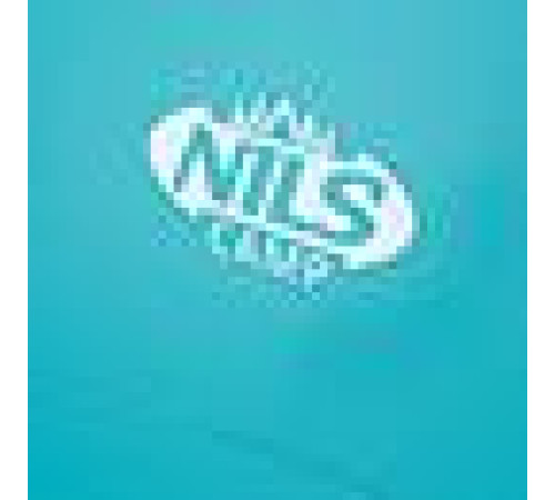 Намет для пляжу NC8030 NILS 260x120x120 см