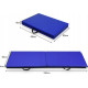 Гімнастичний матрац Costway 2 предметів SP37323BL 180 см x 60 см x 4 см синій