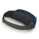 Поясна сумка Osprey Daylite Waist