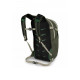 Рюкзак Osprey Daylite Plus green canopy/green creek - O/S - зелений