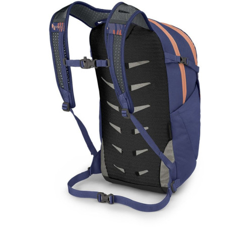 Рюкзак Osprey Daylite Plus wild blossom print/alkaline - O/S - синій Рюкзак Osprey Daylite Plus wild blossom print/alkaline - O/S - синій