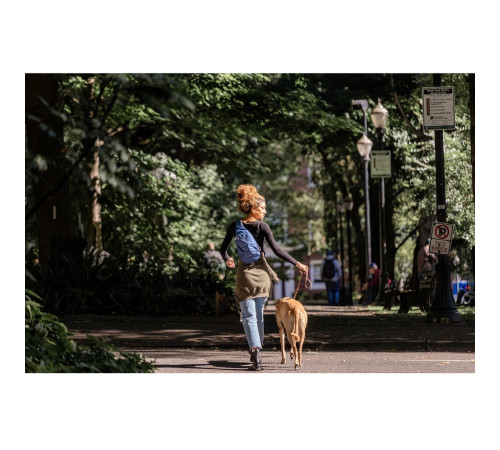Рюкзак Osprey Daylite Sling Рюкзак Osprey Daylite Sling