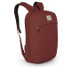 Рюкзак Osprey Arcane Large Day