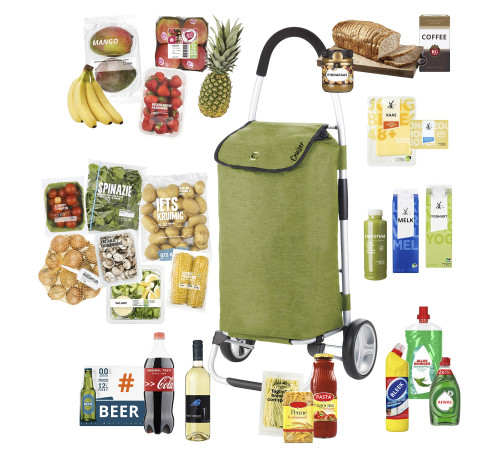 Cумка-візок ShoppingCruiser Foldable Green (650068) Cумка-візок ShoppingCruiser Foldable Green (650068)