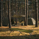 Ліжко кемпінгове NILS CAMP NC2756 200 х 60 х 44 см, зелене
