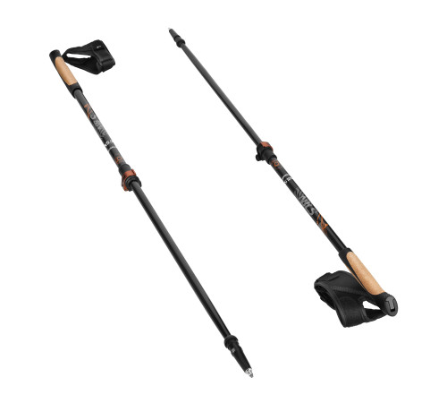 Палиці для скандинавської ходьби NILS CAMP NW8613 CARBON